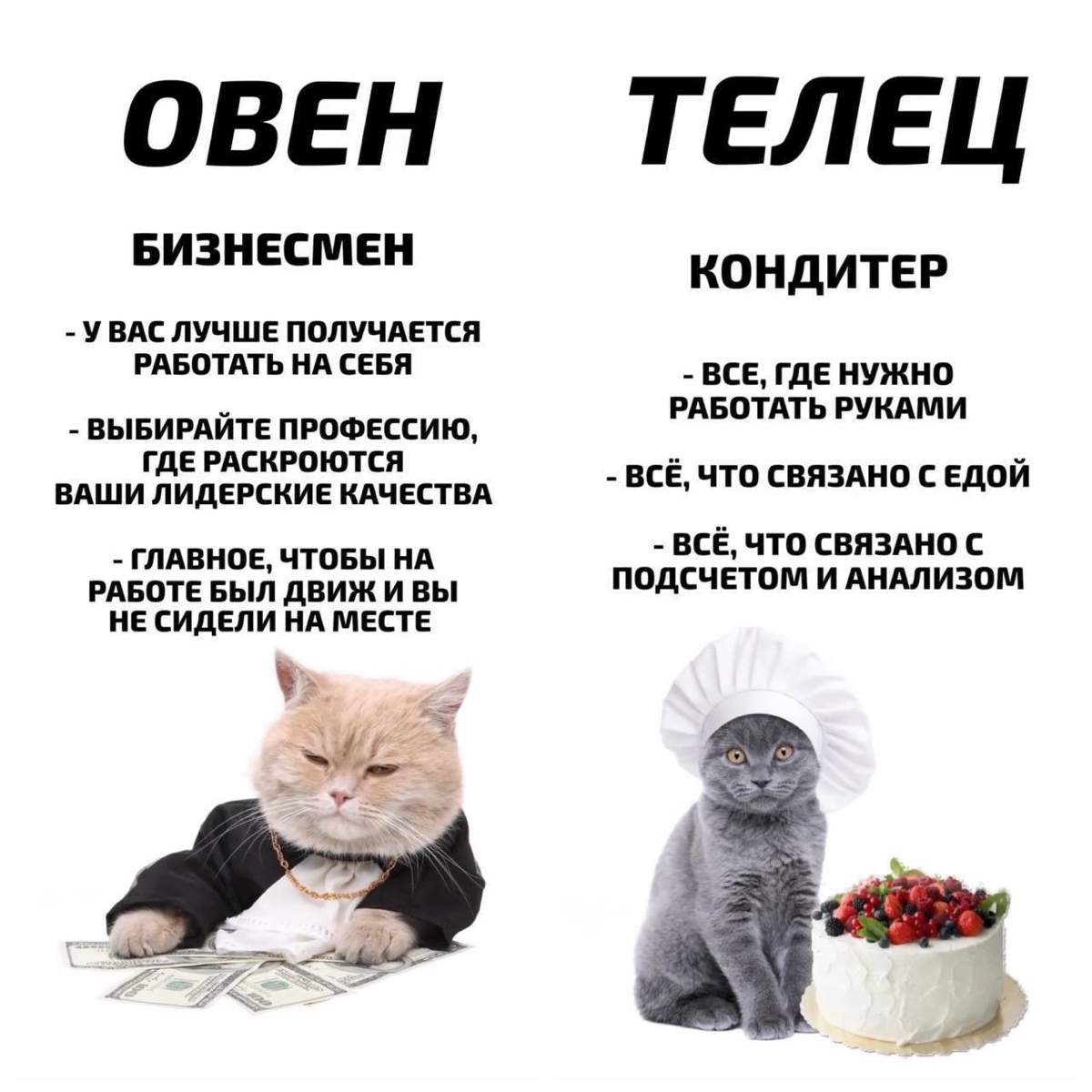 Эксперты рассказали, какая ты профессия по знаку зодиака. | Сетка — социальная сеть от hh.ru