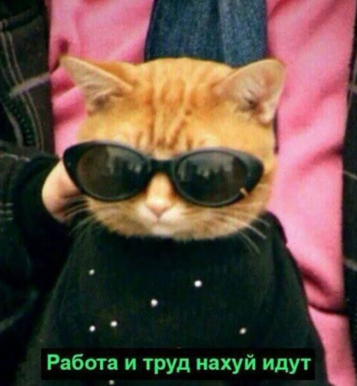 Желаю всем спокойного дня | Сетка — социальная сеть от hh.ru