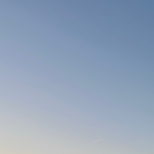 Виктория Сметанина