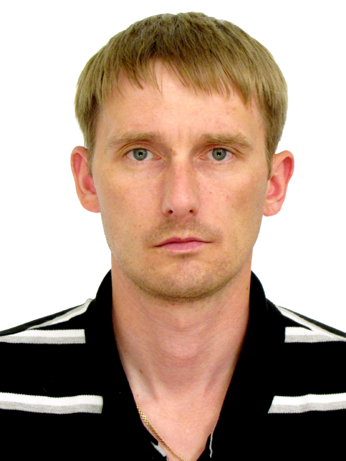 Алексей Фауст | Сетка — социальная сеть от hh.ru