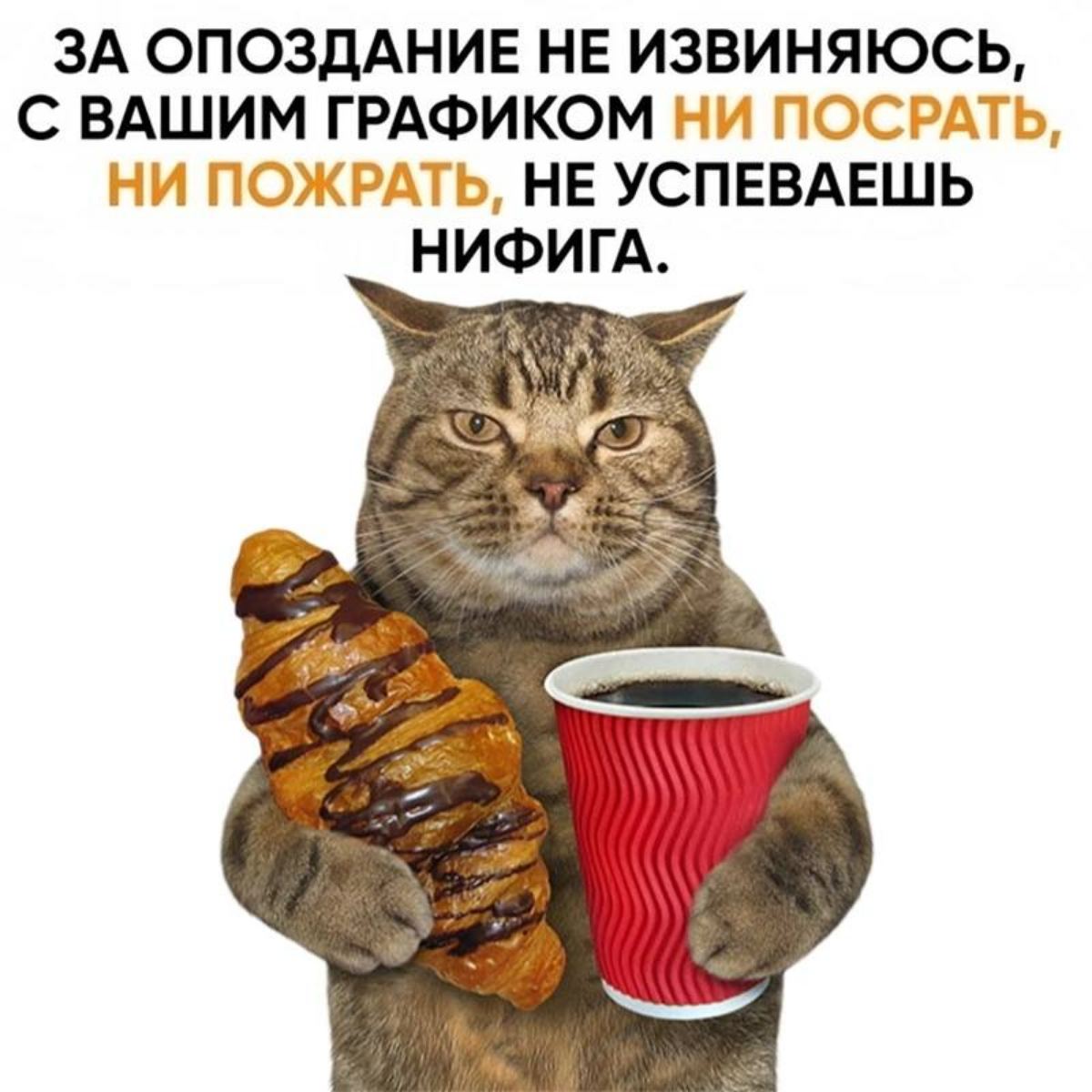 Какой у вас график работы?) | Сетка — социальная сеть от hh.ru