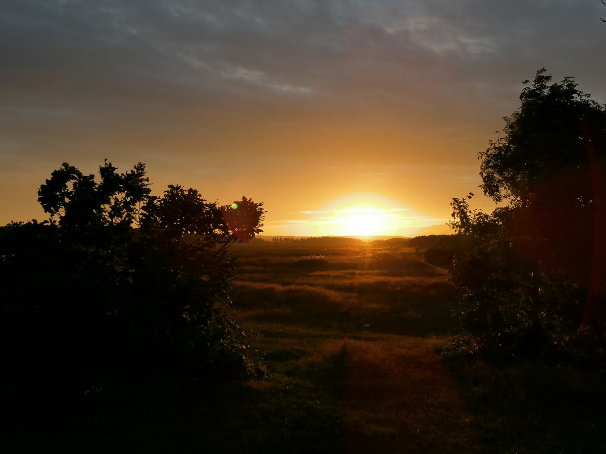 Вот и закат приближается! | Сетка — социальная сеть от hh.ru