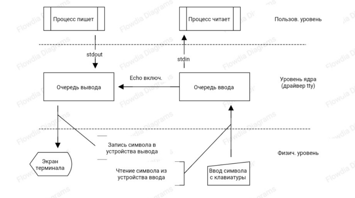 В статье "NCurses: режим ECHO“ рассказывается: как в данном режиме терминал производит вывод на экран (stdout) вводимых пользователем символов c устройства ввода (stdin).
https://rjaan.narod | Сетка — социальная сеть от hh.ru