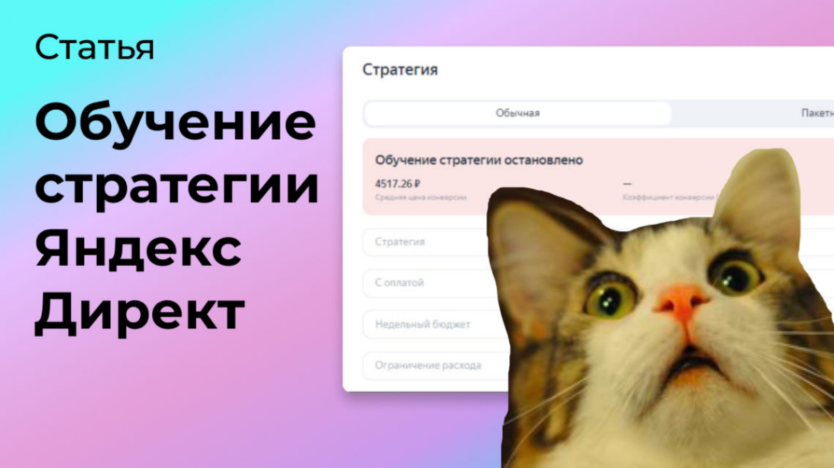 Обучение стратегии Яндекс Директ остановлено: что делать? | Сетка — социальная сеть от hh.ru