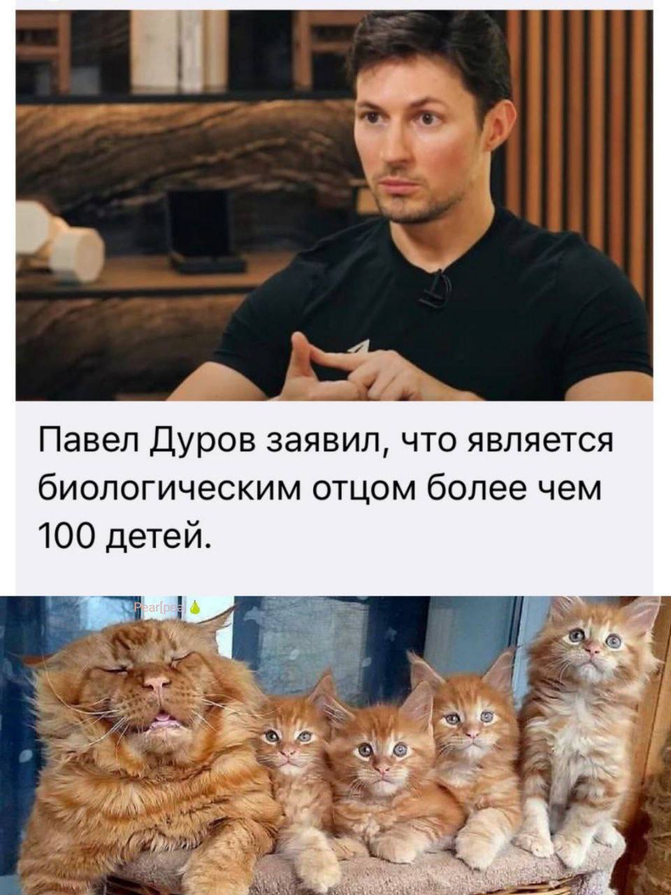 Все новости к этому часу 👌 | Сетка — социальная сеть от hh.ru