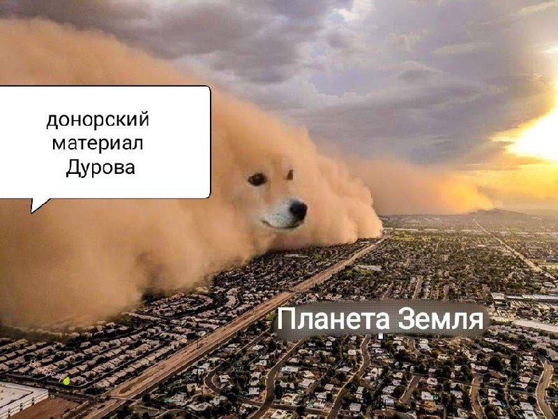 Все новости к этому часу 👌 | Сетка — социальная сеть от hh.ru