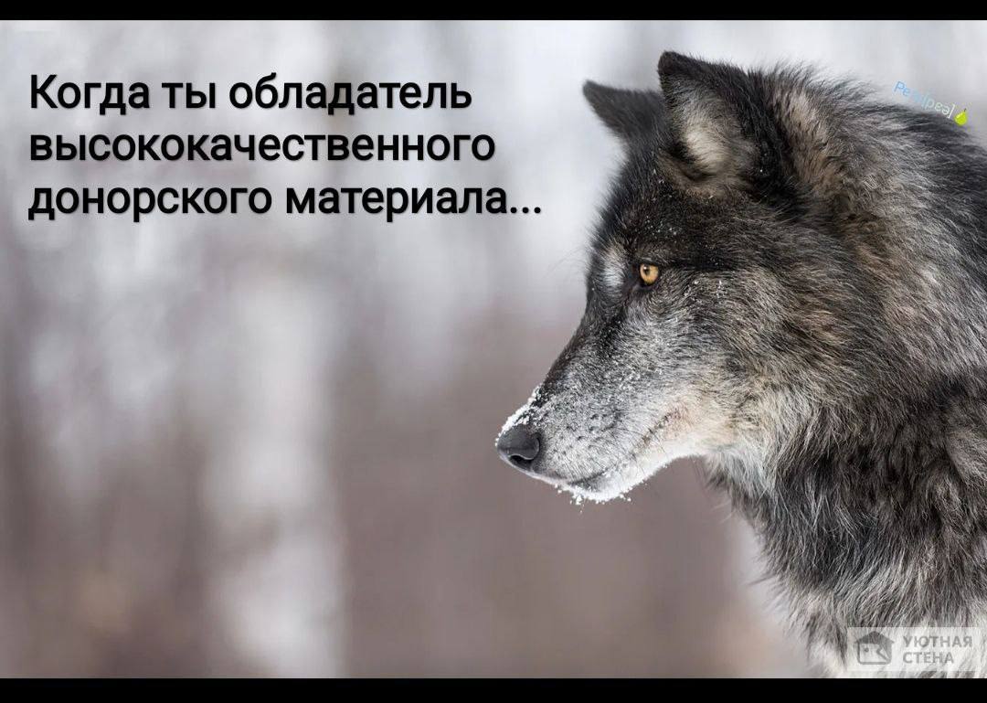 Все новости к этому часу 👌 | Сетка — социальная сеть от hh.ru