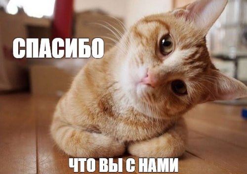 Прихожу я значит в офис, открываю ноут и вижу на почте отбивку, что мне через корпоративный портал пришла благодарность от коллеги. И вот вроде всего несколько предложений, а прям приятно | Сетка — социальная сеть от hh.ru