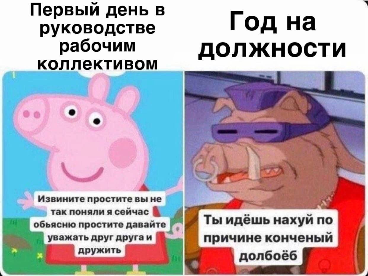 Сетка — социальная сеть от hh.ru