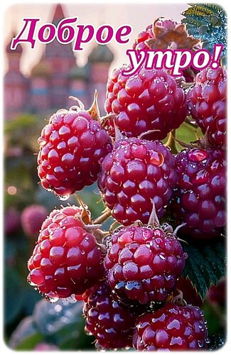 Лето пролетело нас оставив позади
Вот и наступил крайний день лета в году. Еще чуть-чуть и начнется школьный сезон | Сетка — социальная сеть от hh.ru