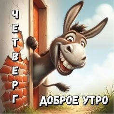 😀😀😀 | Сетка — социальная сеть от hh.ru