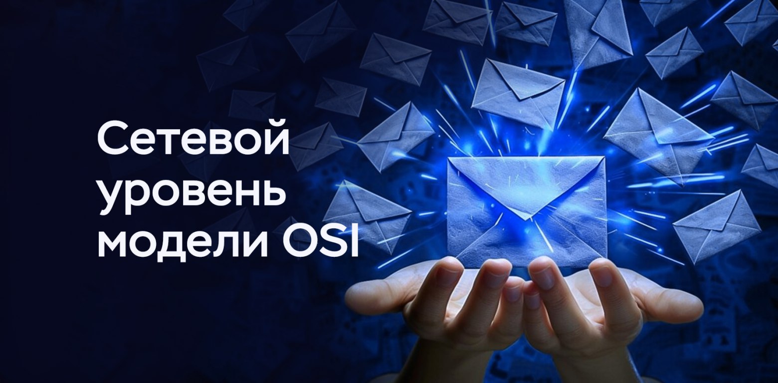 Сложно о простом. Сетевой уровень (L3) модели OSI
https://habr.com/ru/companies/timeweb/articles/830178/ | Сетка — социальная сеть от hh.ru