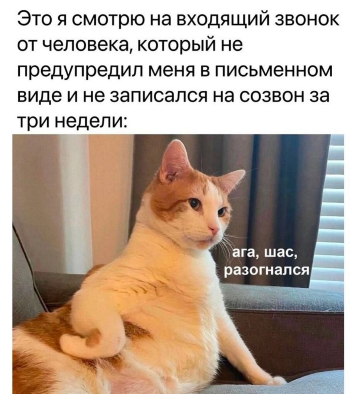 #смехотерапия
#журналопсихологии
#Психология
#лайфхак
Больше полезной и интересной информации в онлайн - журнале «Практическая психология»
https://t | Сетка — социальная сеть от hh.ru