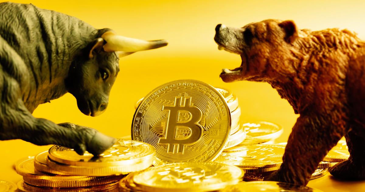 В Bitwise оценивают в 50% вероятность падения курса криптовалют | Сетка — социальная сеть от hh.ru