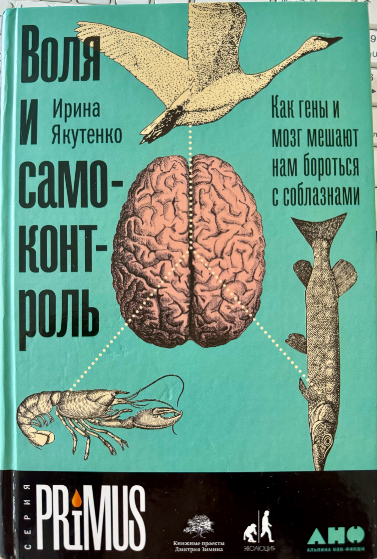 Рекомендую , для предварительного ознакомления по направлениям личного развития.1 | Сетка — социальная сеть от hh.ru