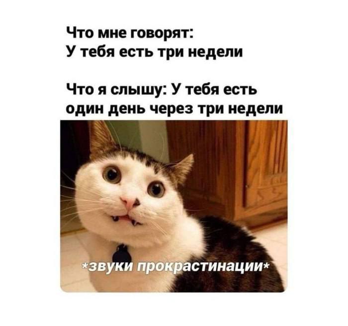 Ну, мы | Сетка — социальная сеть от hh.ru