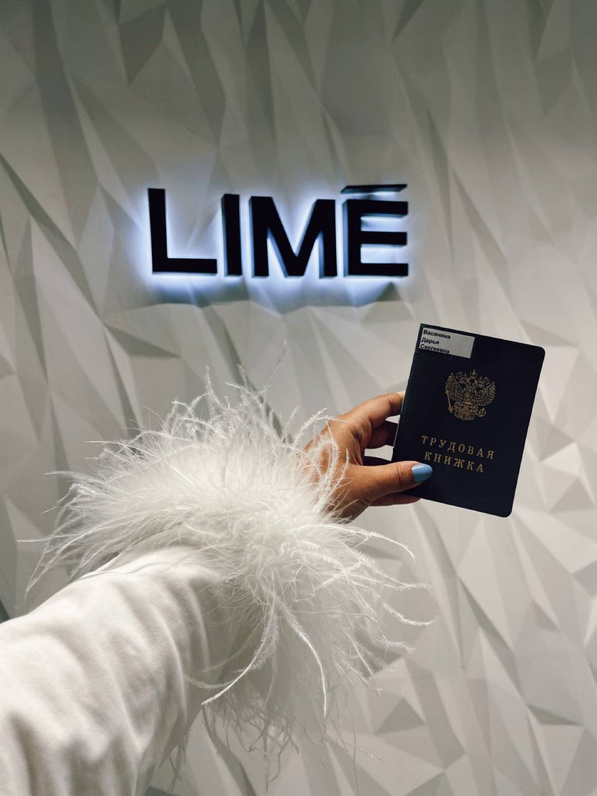 /Год солопринерства - 5 выводов 🎂/ | Сетка — социальная сеть от hh.ru