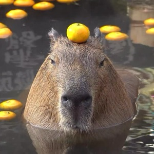 Лечу на супер лодке 🚣‍♀️