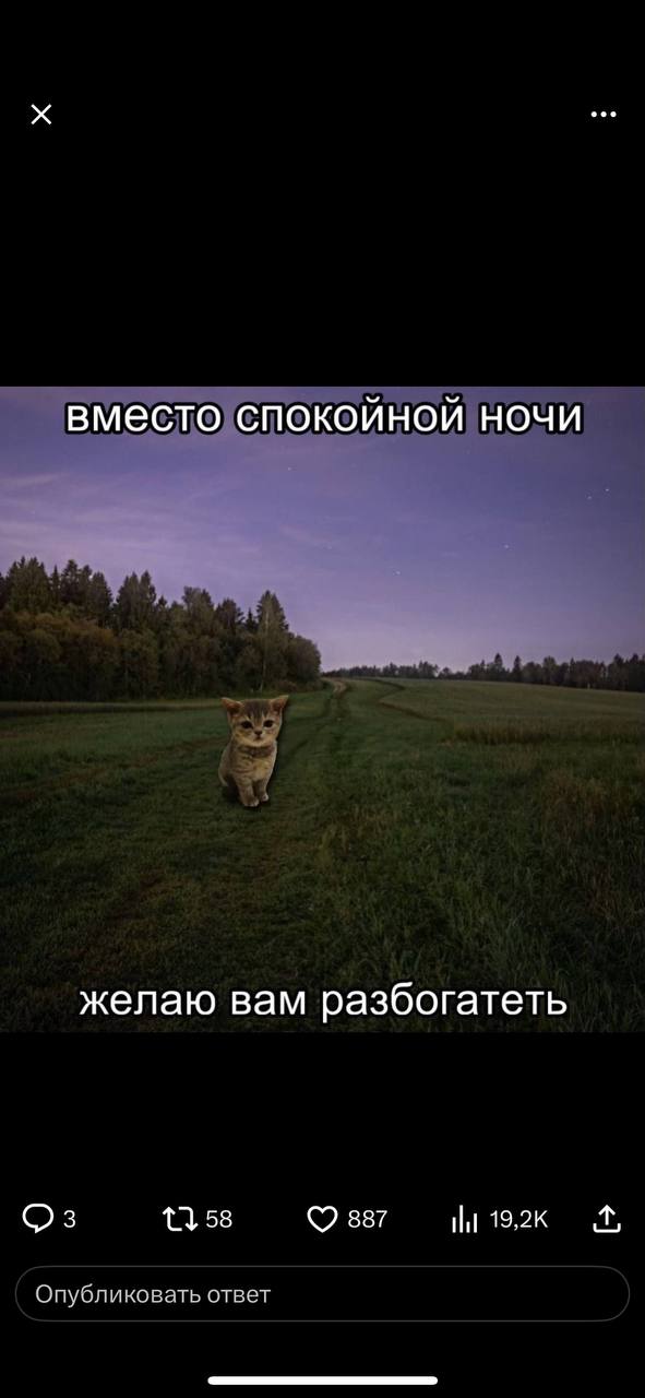 Писала сюда умный текст, но телеграмм куда-то его дел. Поэтому ловите пожелание на ночь | Сетка — социальная сеть от hh.ru
