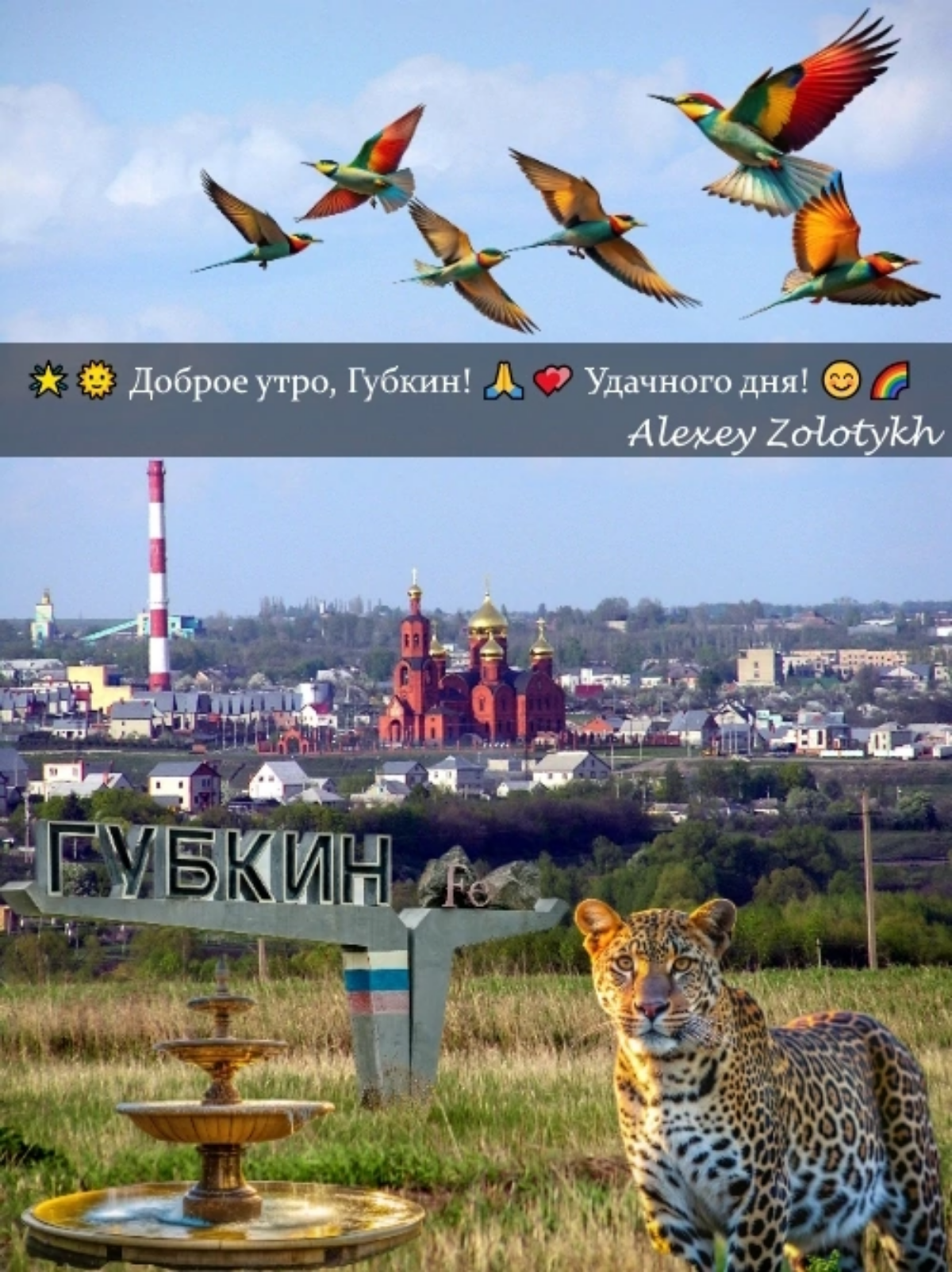 🌟🌞 Доброе утро, Губкин! 🙏💕 Удачного дня! 😊🌈 | Сетка — социальная сеть от hh.ru