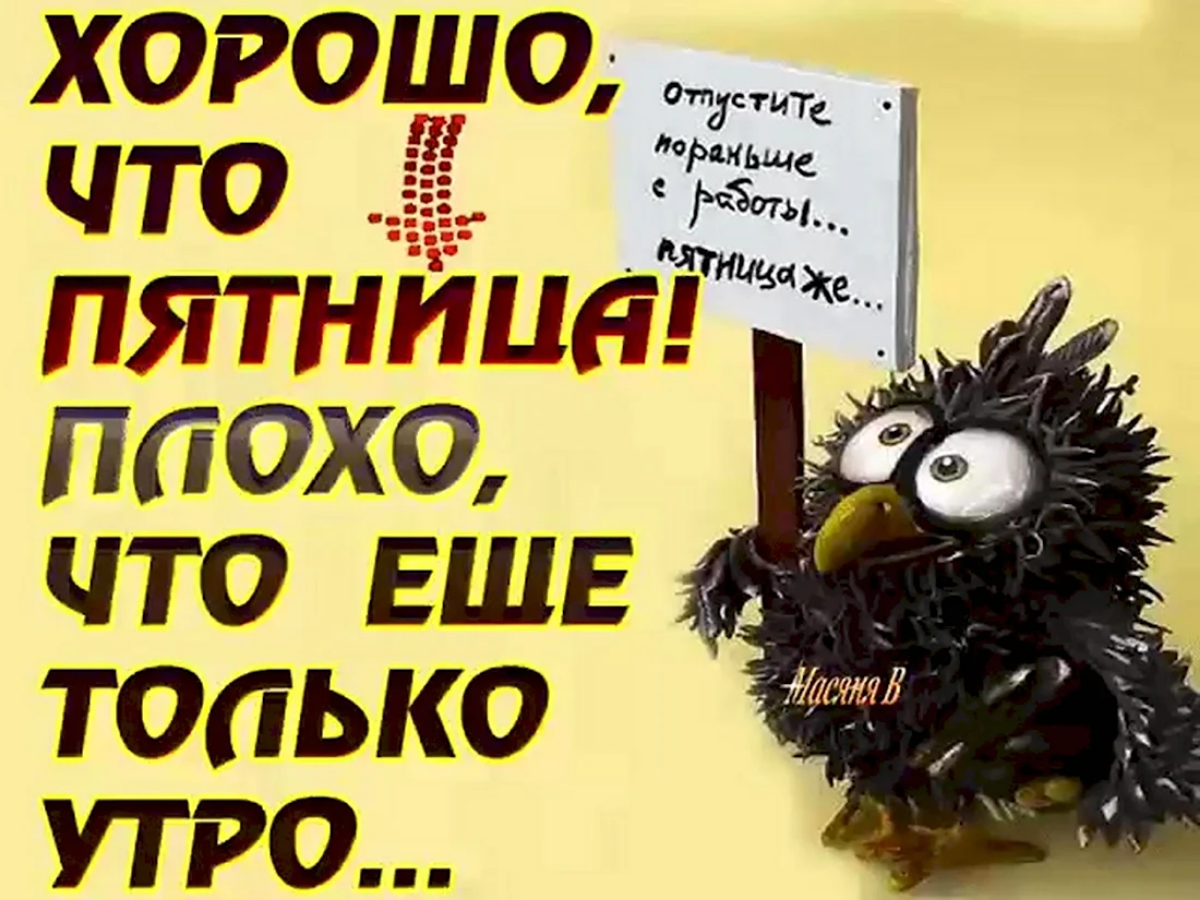 Всех с пятницей 🏄‍♂️ господа "манагеры" какие планы на выходные?)
#пятница #офис #удаленка #работажизнь | Сетка — социальная сеть от hh.ru