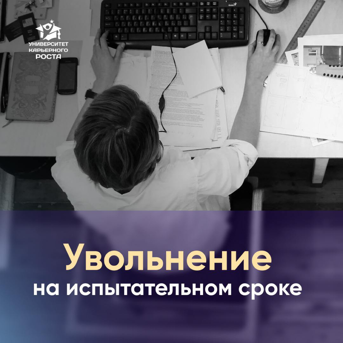 ❌ РЕКОМЕНДАЦИИ НЕ ВСЕГДА РАБОТАЮТ!
Один мой друг говорит:
– Я решил брать рекомендации на кандидатов, которых рассматриваю
– Почему решил ввести такую процедуру?
– Поймал одного сотрудника на воровств... | Сетка — социальная сеть от hh.ru