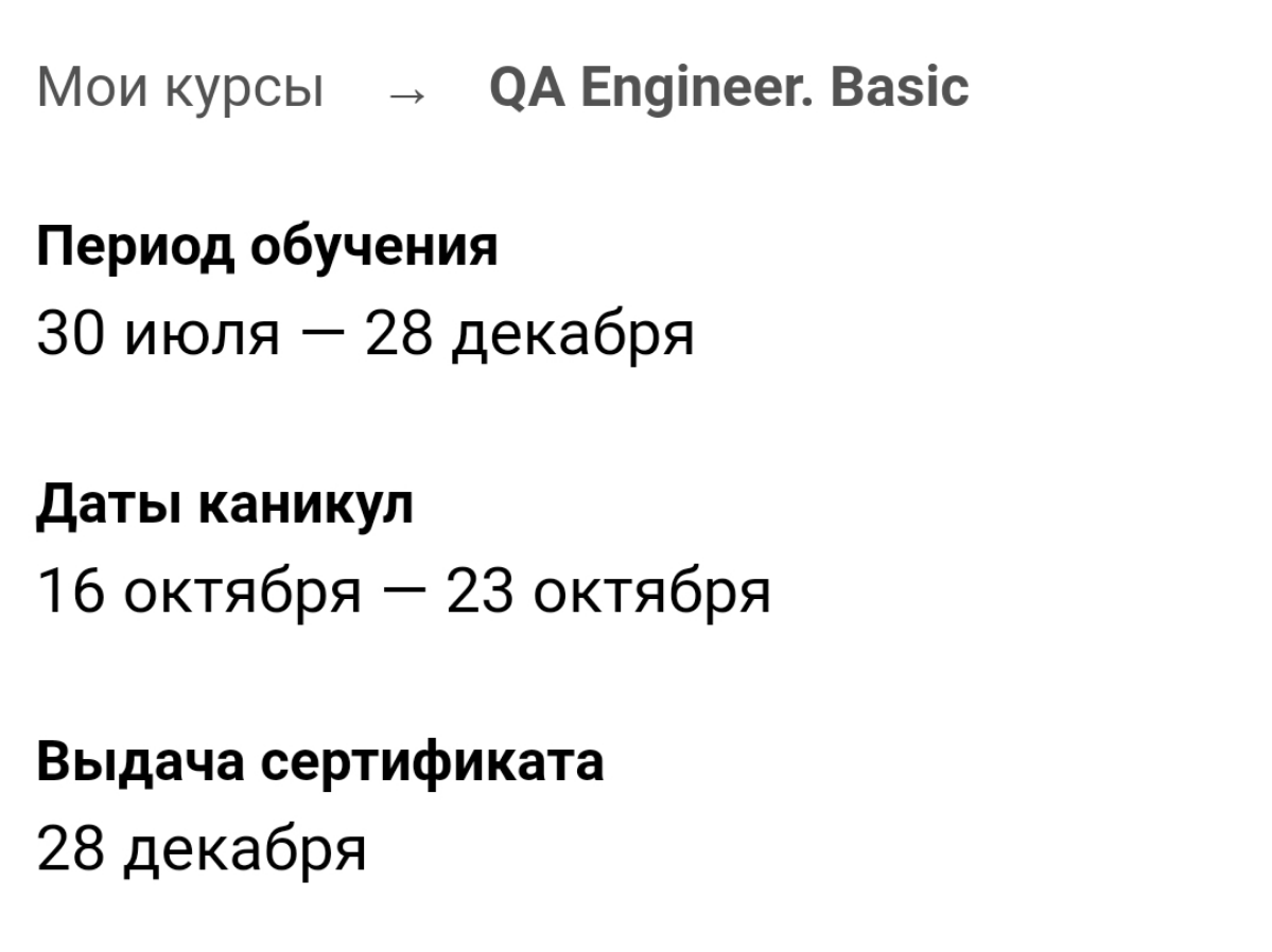 Начало курса QA Engineer. Basic | Сетка — социальная сеть от hh.ru