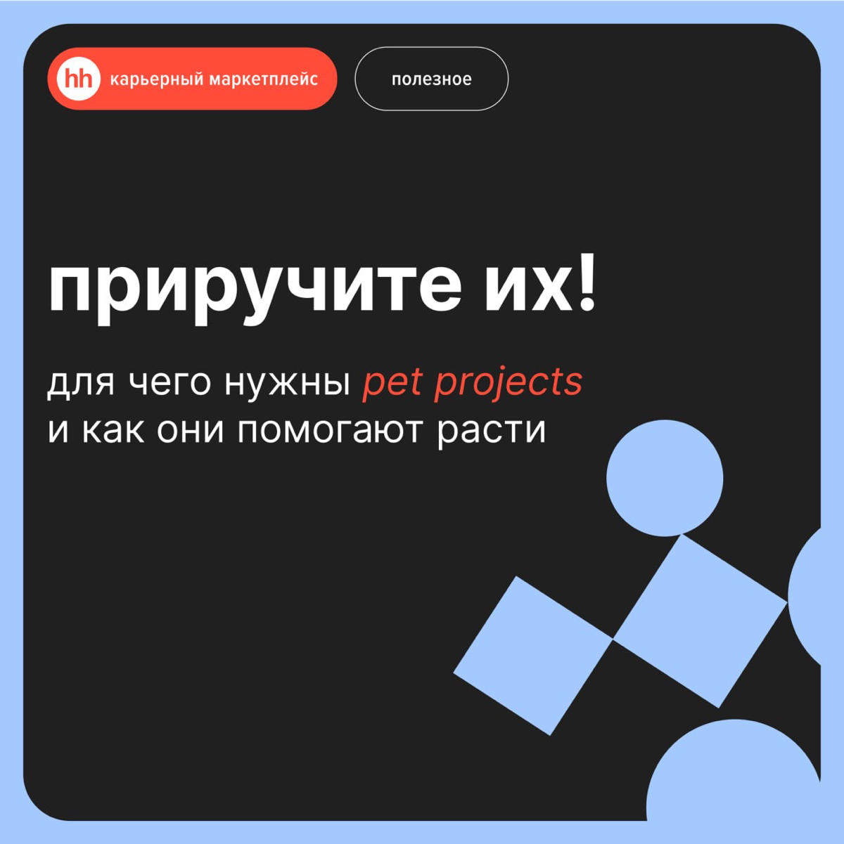 Приручите их! Для чего нужны pet projects | Сетка — социальная сеть от hh.ru
