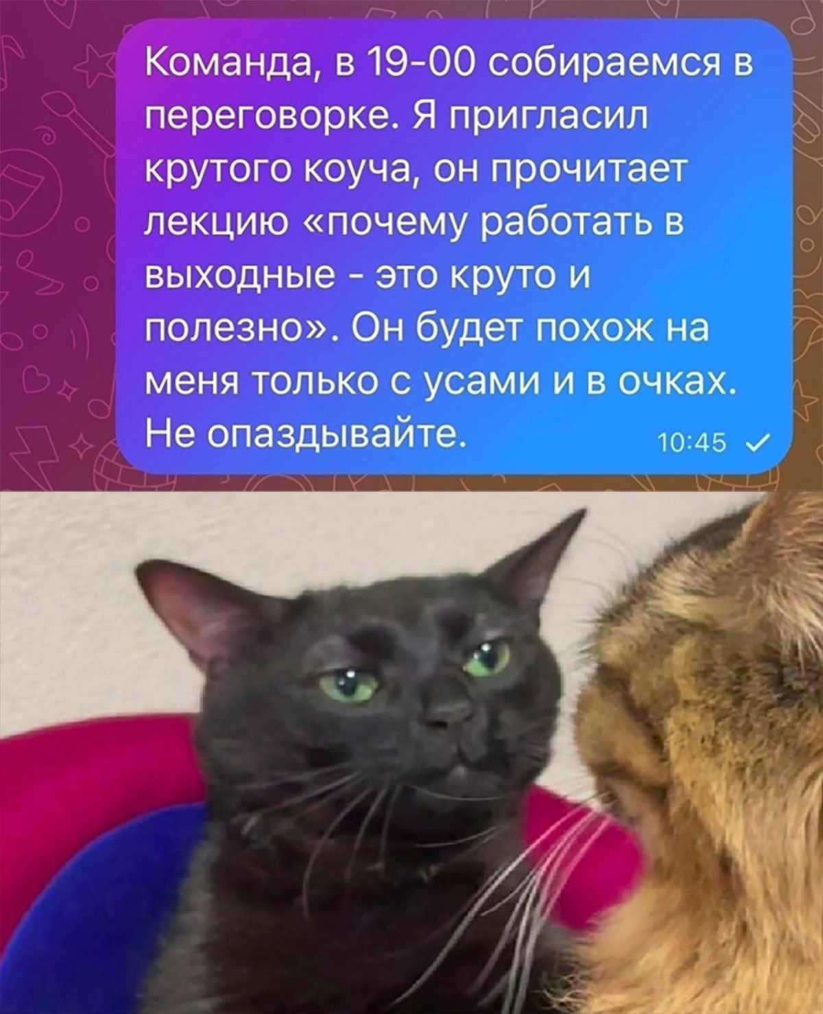 Сетка — социальная сеть от hh.ru