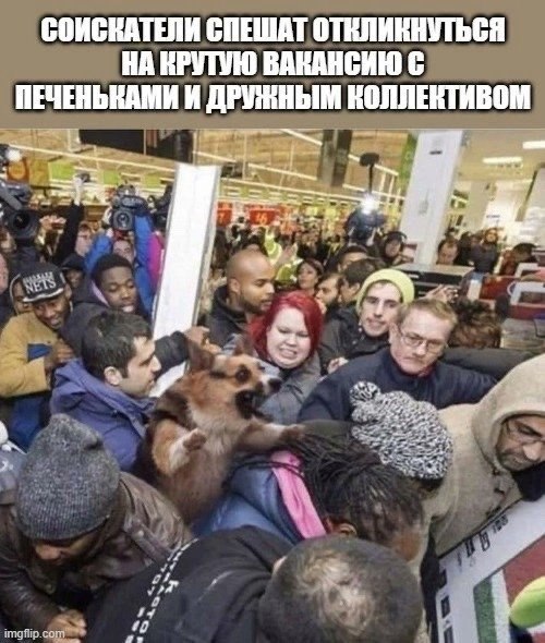 ага, дерутся аж | Сетка — социальная сеть от hh.ru