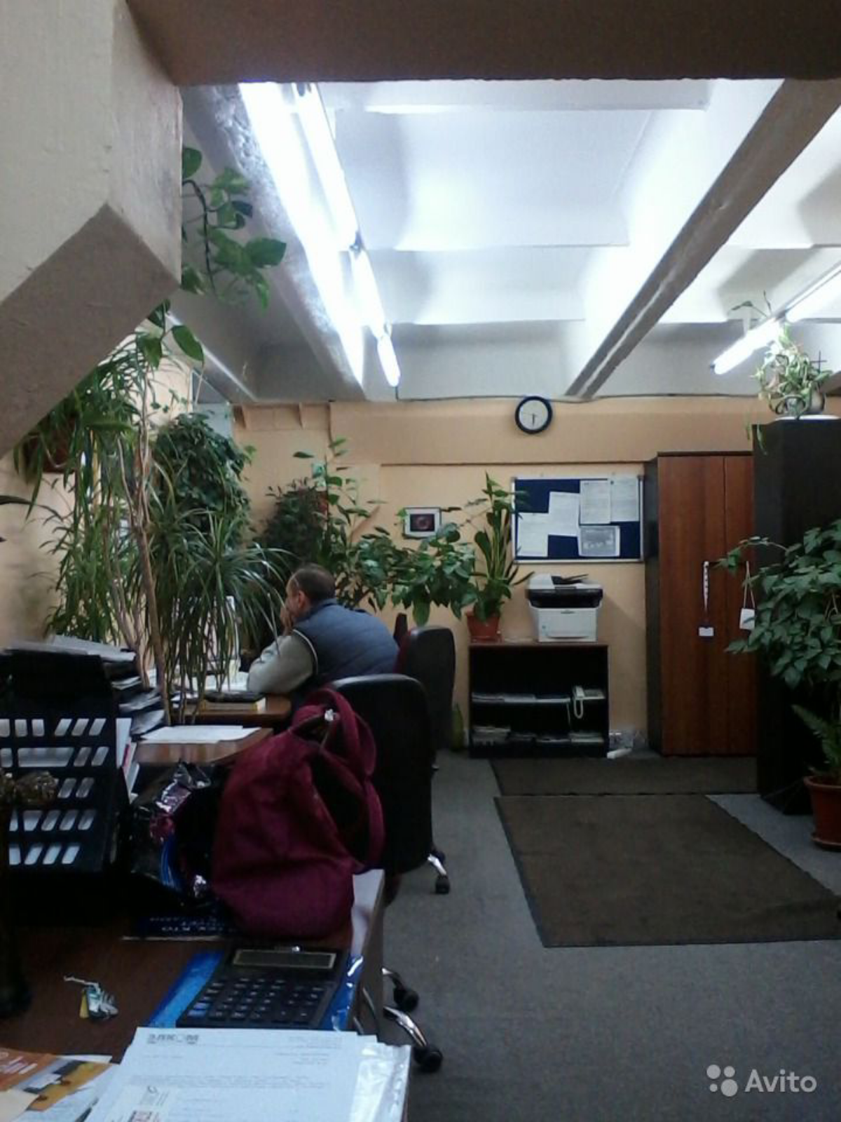 Михаил Иванов | Сетка — социальная сеть от hh.ru