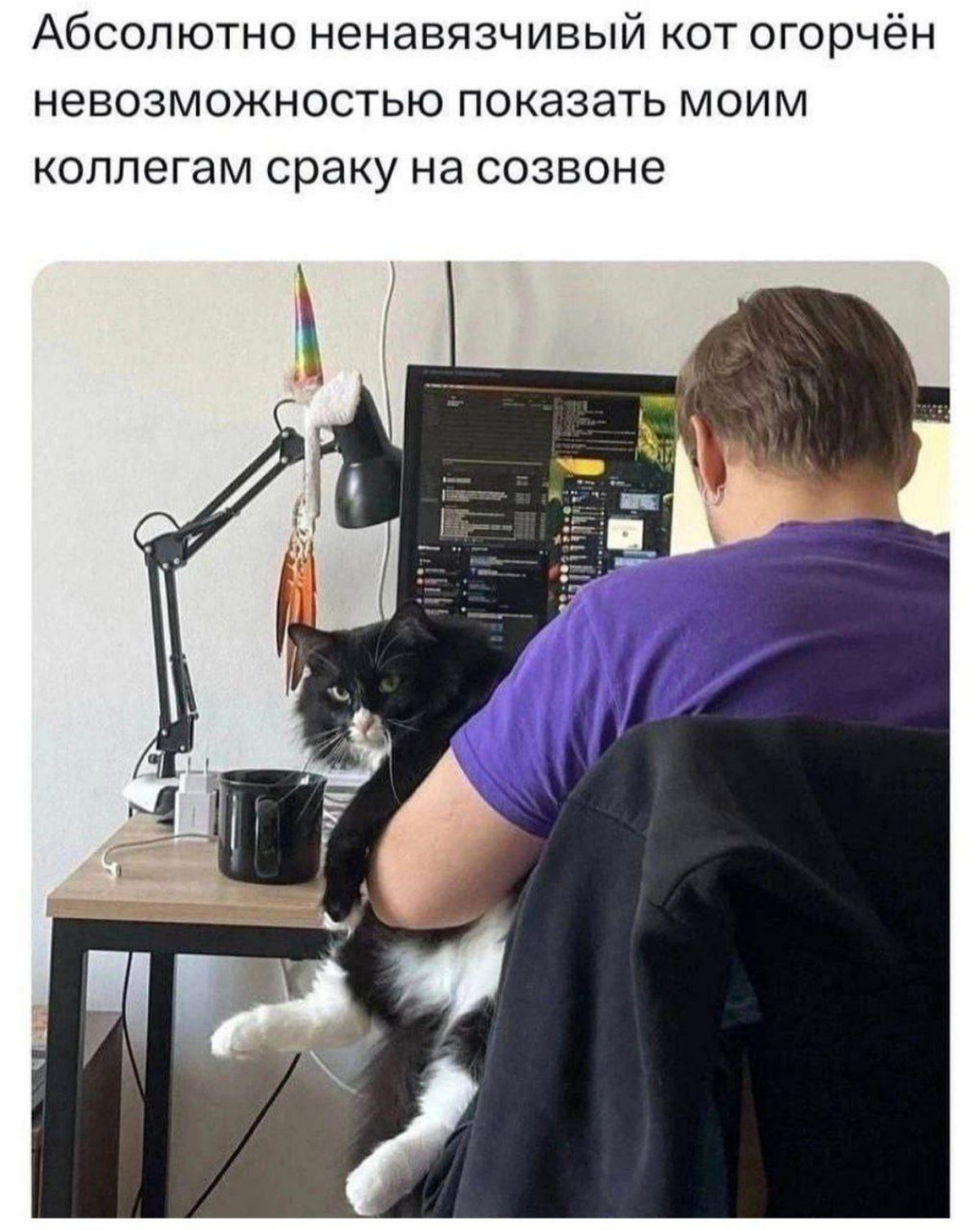 День мэмов)) | Сетка — социальная сеть от hh.ru
