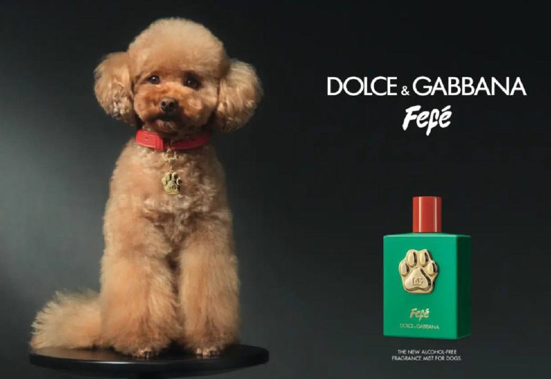Бренд Dolce & Gabbana выкатил парфюм для хвостатых! Флаконы украсили позолоченной лапкой, а в подарок идёт специальный медальон для собакена.
Все собачники добавили новинку в виш-лист | Сетка — социальная сеть от hh.ru