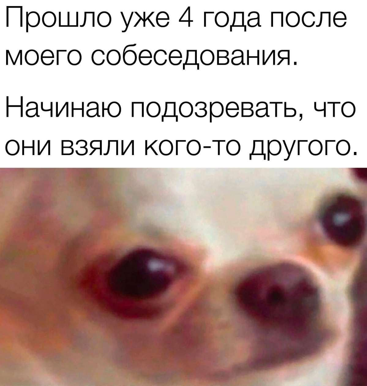 Сетка — социальная сеть от hh.ru