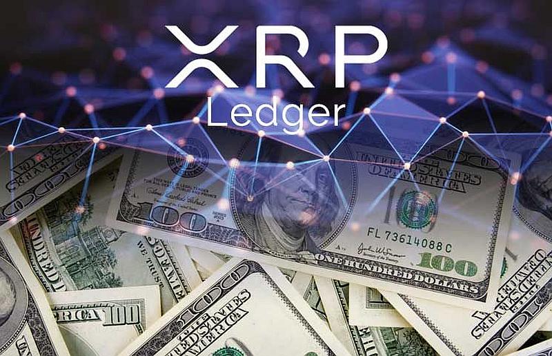 Во втором квартале транзакции в реестре XRP Ledger упали на 65,6% | Сетка — социальная сеть от hh.ru