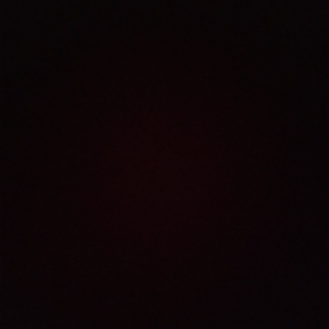 Дариана Нету