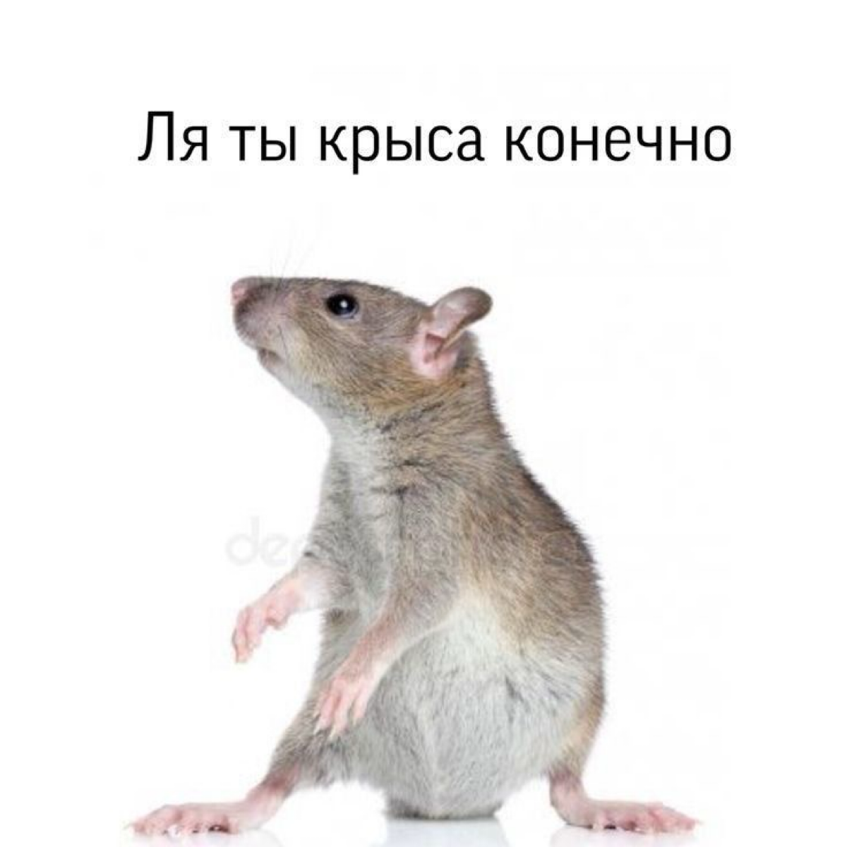 Ребята! Help, sos! 😱
🚩Вся в «красных» флажках 🚩
Вкратце, на работе всегда есть люди , которые либо с тобой соревнуются либо просто ненавидят … Маус одним словом 🐀
Произошел масштабный конфликт в стыке... | Сетка — социальная сеть от hh.ru