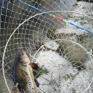 Сергей Загуменый | Сетка — социальная сеть от hh.ru