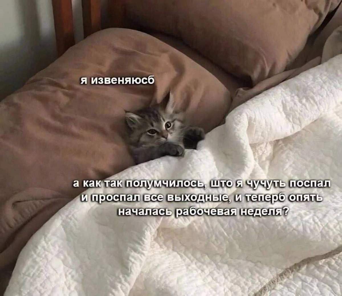 А что уже понедельник? | Сетка — социальная сеть от hh.ru