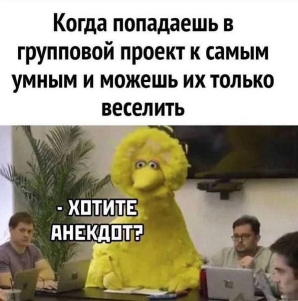 Когда на собеседование спросили про твою роль в проекте | Сетка — социальная сеть от hh.ru