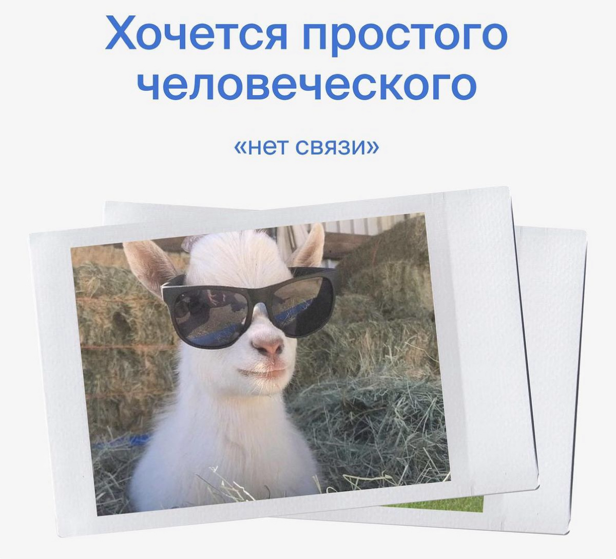 📢 выходные пролетели со скоростью света, а это значит, что сегодня новый #рабочийпонедельник
кому чего еще хочется простого человеческого в понедельник? 😅 | Сетка — социальная сеть от hh.ru