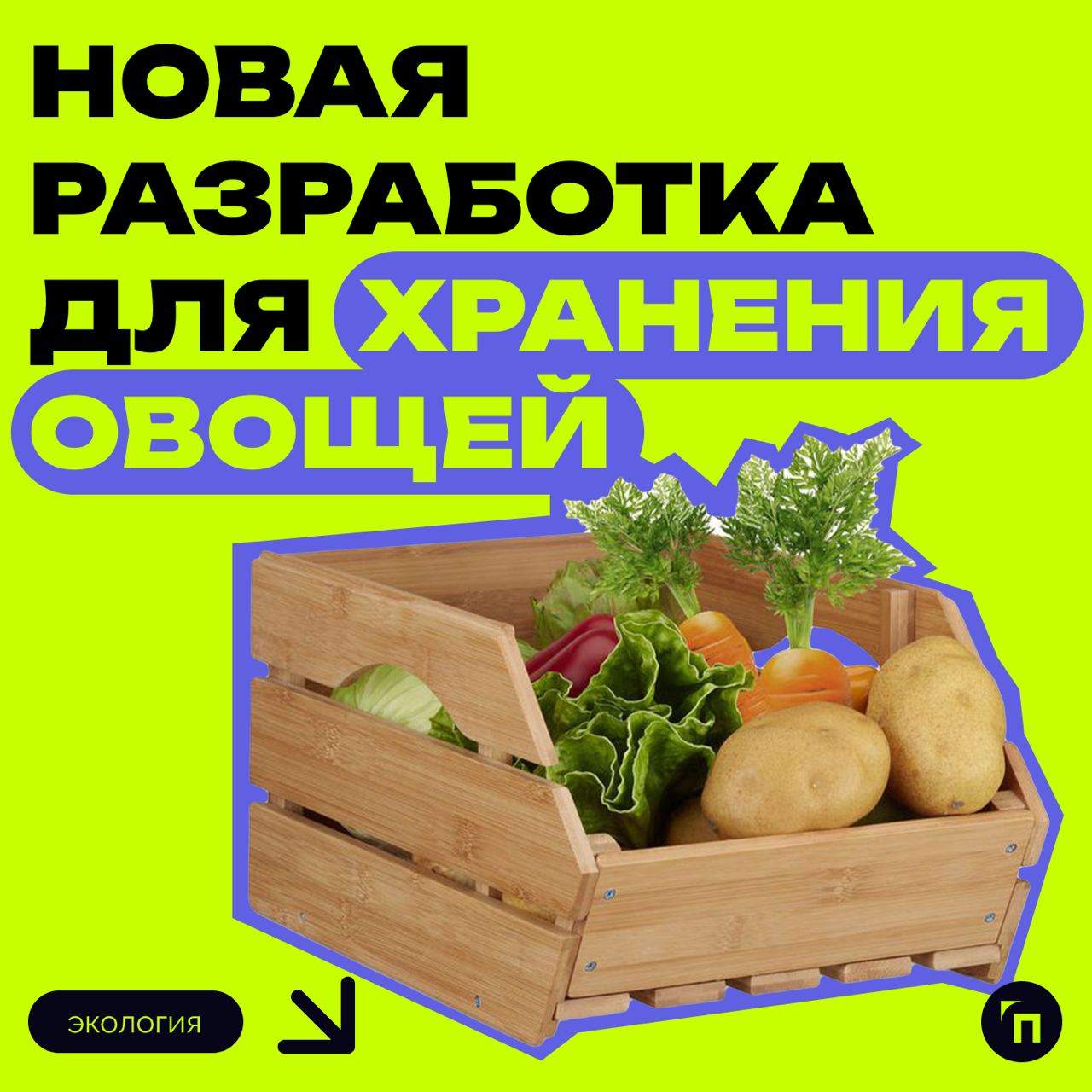 ⚡️ Новая разработка для длительного хранения овощей
Новосибирский государственный технический университет НЭТИ разработал биогель, увеличивающий срок хранения овощей и фруктов в четыре раза | Сетка — социальная сеть от hh.ru