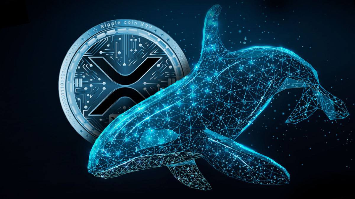 Криптовалютные киты воспользовались дампом для покупки XRP | Сетка — социальная сеть от hh.ru