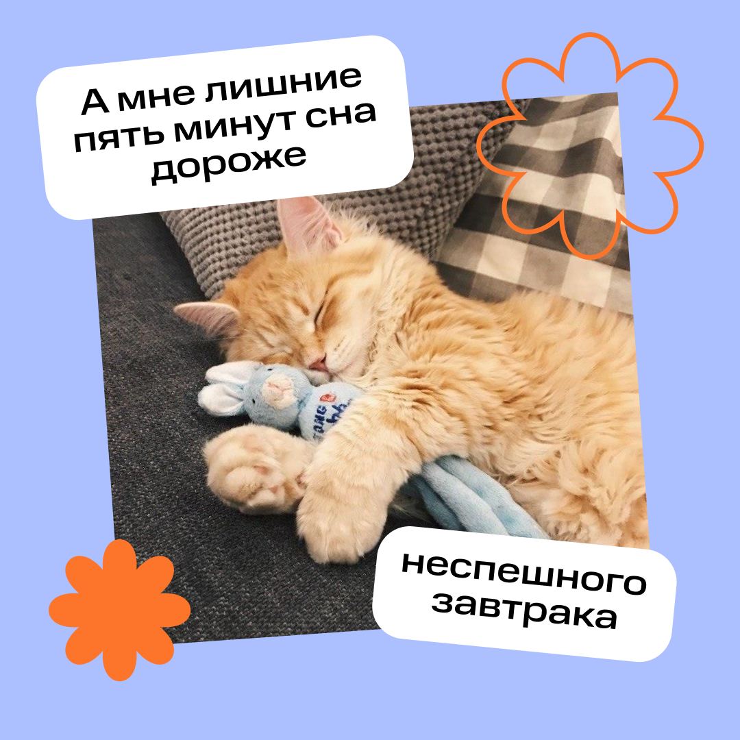 Главное — расставить приоритеты 👀
А вы часто предпочитаете объективно сомнительное — чему-то действительно важному? | Сетка — социальная сеть от hh.ru