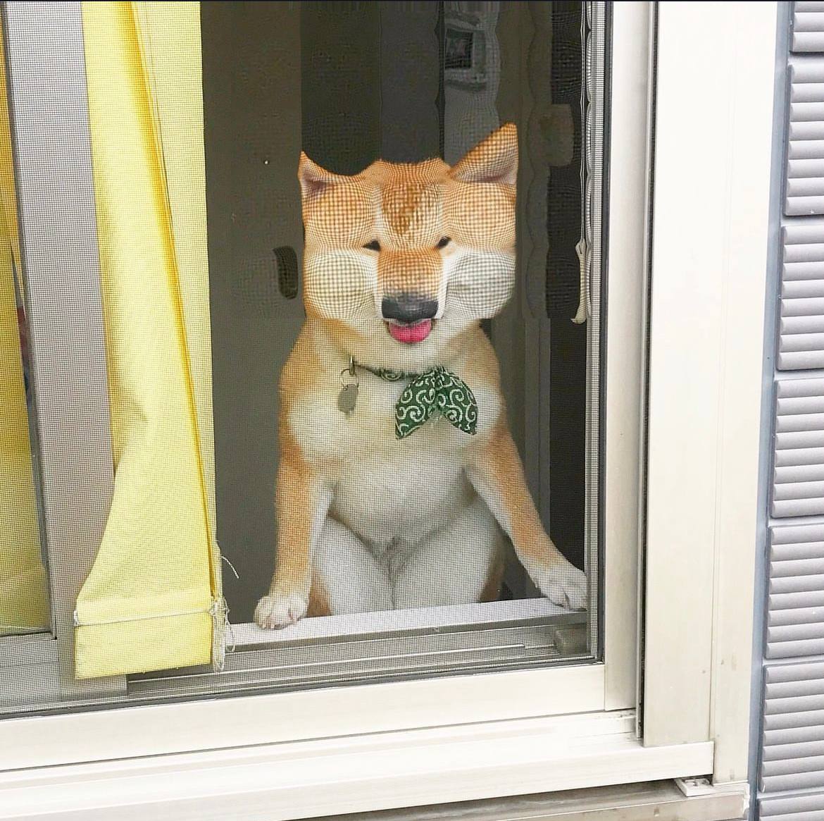 Кажется из этого может получиться прикольный мем, давайте придумывать подписи, например:
Ты после четырех созвонов | Сетка — социальная сеть от hh.ru