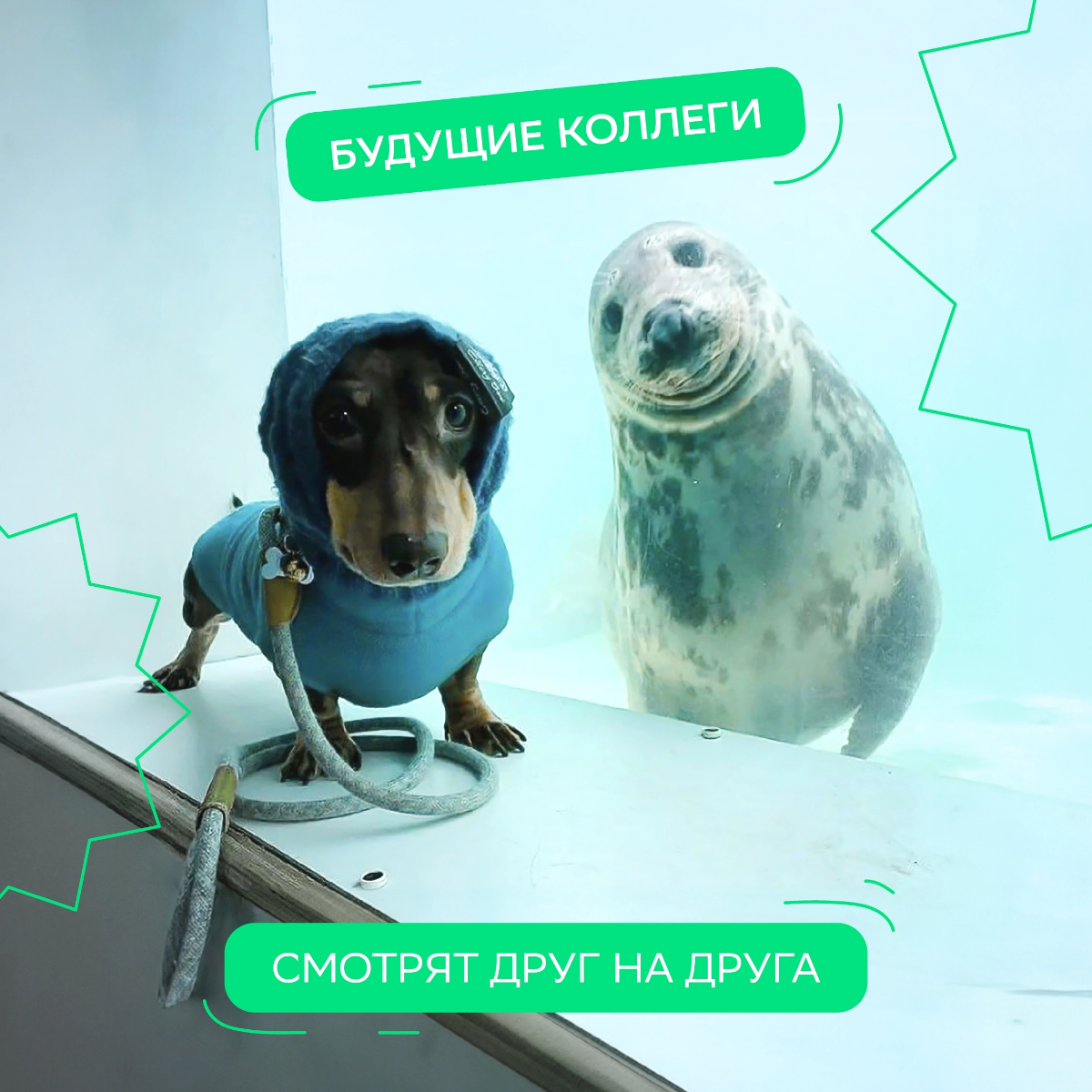 Привет, будущий коллега!
Будь в курсе открытых вакансий, ярких новостей и анонсов, а ещё — следи за полезными советами и подборками от эйчаров.
Скорее присоединяйся к команде Сбера! | Сетка — социальная сеть от hh.ru
