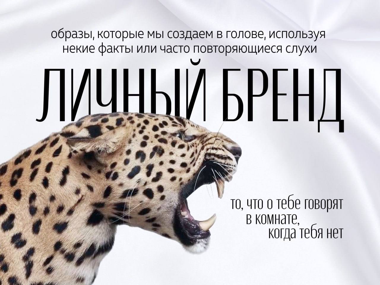 Мы делаем ооооочень разные по стилю/наполнению/ задачам проекты
У нас большая команда. Мы все разные и каждый хорош в своем деле | Сетка — социальная сеть от hh.ru