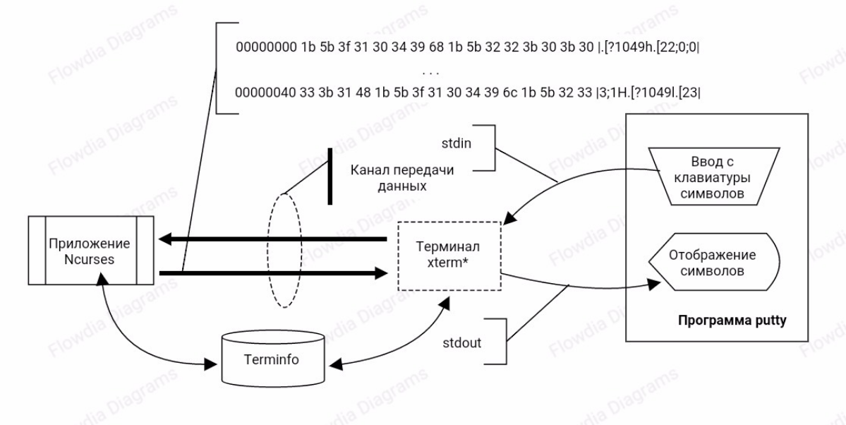 Название библиотеки curses происходит от английского термина cursor optimization(оптимизация курсора), которая заключается в нахождении наилучшего способа перерисовки курсора и его позиционирования на... | Сетка — социальная сеть от hh.ru