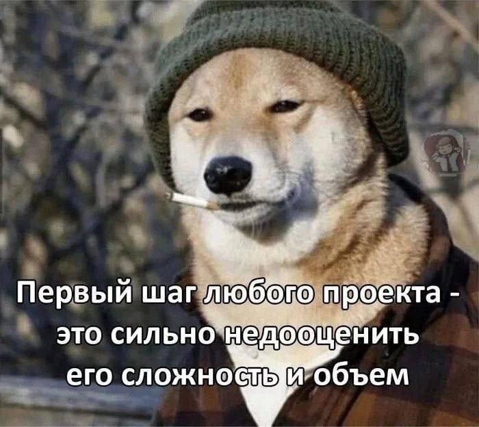 Второй - взять 3 таких проекта. Параллельно. | Сетка — социальная сеть от hh.ru