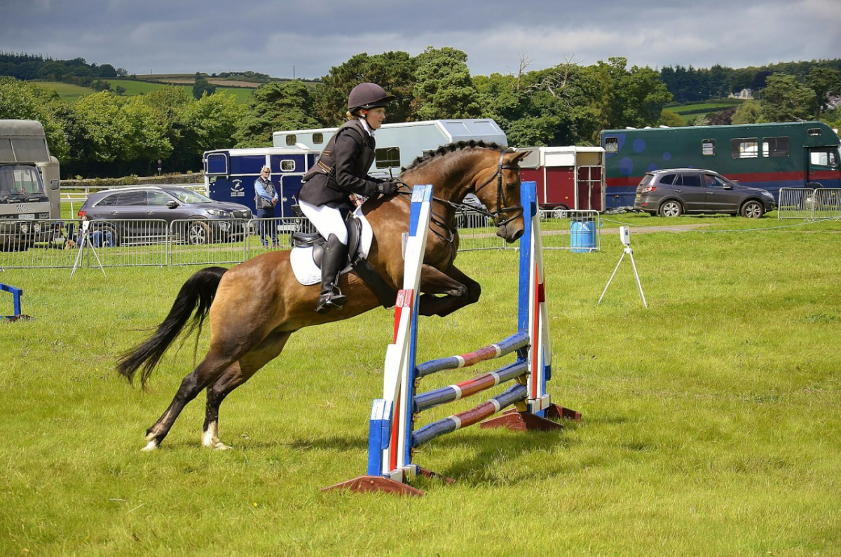 Поставьте таймер, навалитесь на забор | Сетка — социальная сеть от hh.ru
